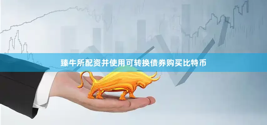 臻牛所配资并使用可转换债券购买比特币