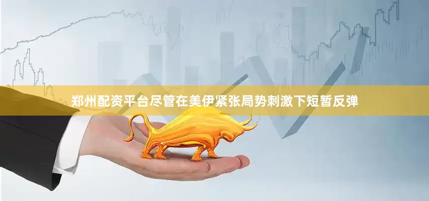 郑州配资平台尽管在美伊紧张局势刺激下短暂反弹