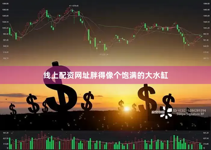 线上配资网址胖得像个饱满的大水缸