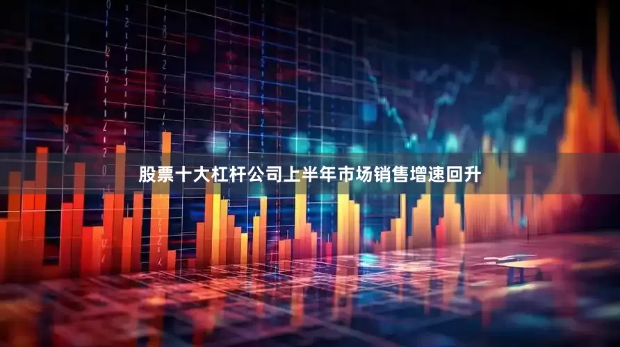 股票十大杠杆公司上半年市场销售增速回升
