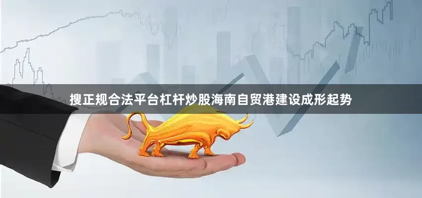 搜正规合法平台杠杆炒股海南自贸港建设成形起势