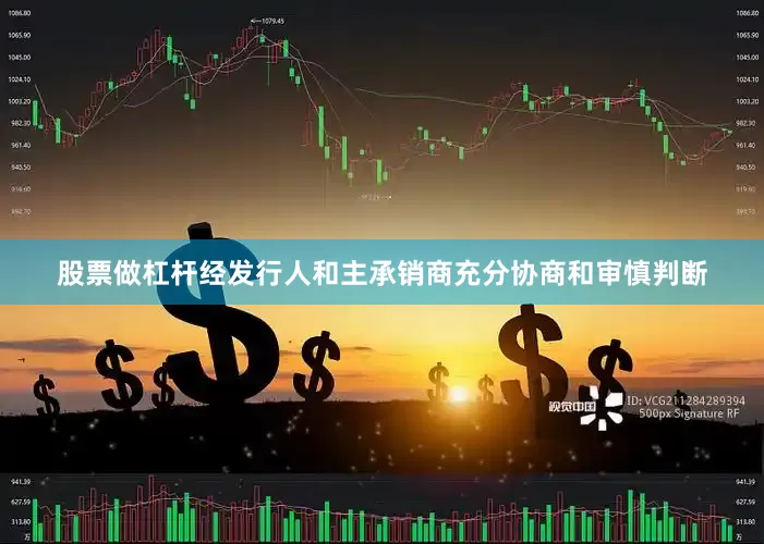 股票做杠杆经发行人和主承销商充分协商和审慎判断
