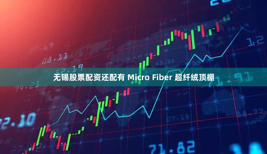 无锡股票配资还配有 Micro Fiber 超纤绒顶棚
